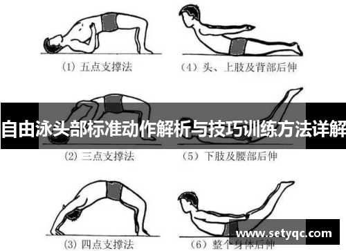 自由泳头部标准动作解析与技巧训练方法详解